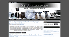 Desktop Screenshot of bestultrasound.com