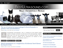 Tablet Screenshot of bestultrasound.com
